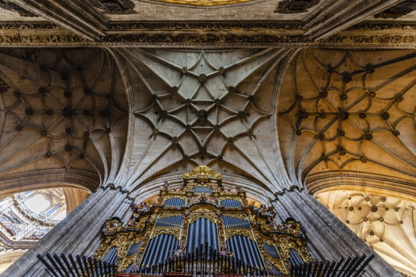 Salamanca, Spain, January 15, 2022: Cathedral of Salamanca. Interior view of the vaults, Europe