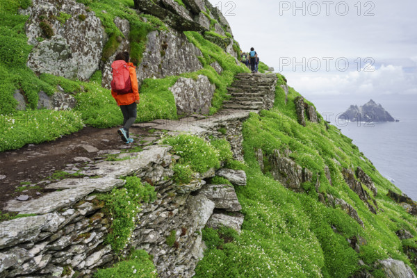 Visitors on the steep path up to the monastery, Skellig Michael island, Mainistir Fhionáin (St. Fionan?s Monastery), county Kerry, Ireland, United Kingdom, Europe