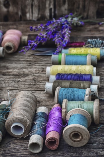 Spools of thread on the old wooden background decorated with branches blossoming lavender.selective focus