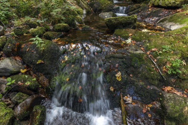 Cascade falls over mossy rocks in the vosges mountains