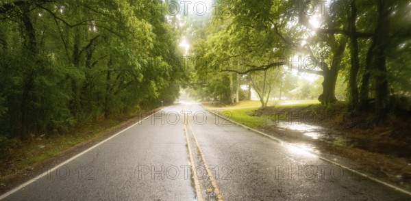 The pavement is wet as it rains on the road through southern agriculture producing landscape