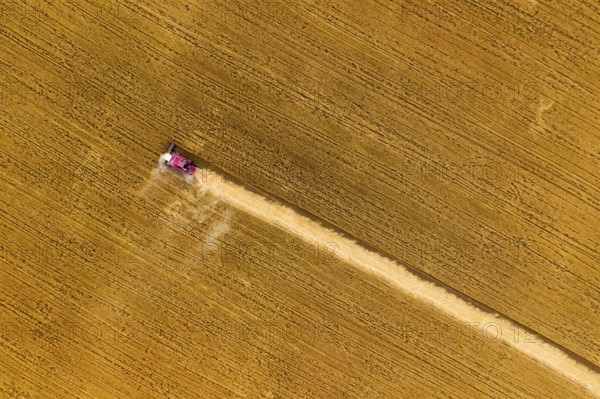 Aerial top view of combine harvester working in golden wheat field