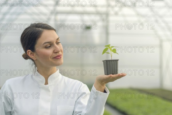 Woman holding potted plant in greenhouse nursery. Seedlings Greenhouse