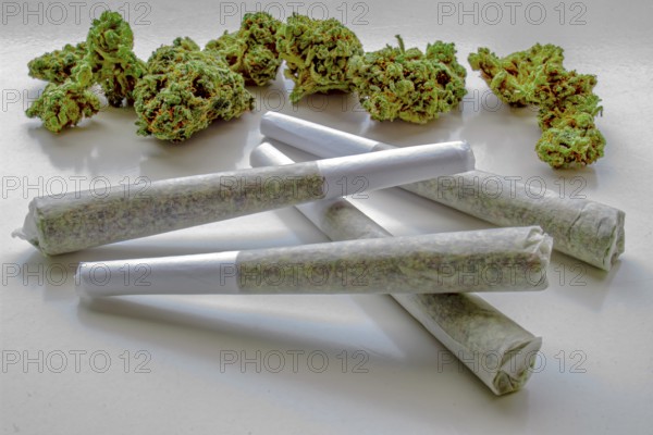 Several Pre-Rolls of Medicinal Cannabis with Flower Cannabis on the background