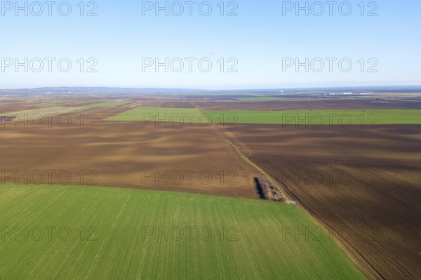 Aerial View Green Field