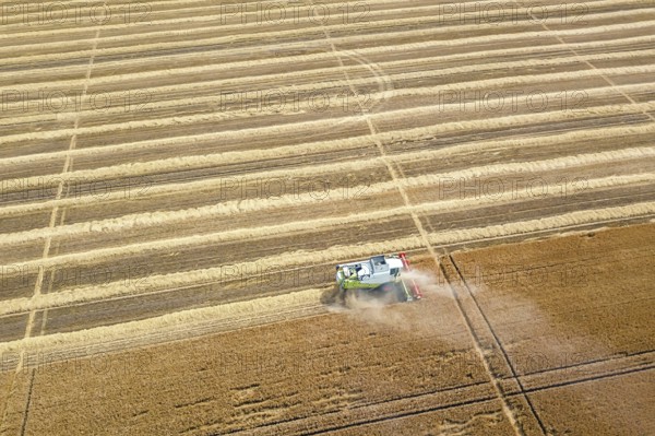 Combine harvester working on a wheat field. Combine harvester Aerial view