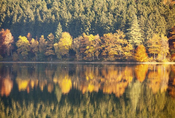 Biggetalsperre reservoir, Attendorn, North Rhine-Westphalia, Germany, Europe