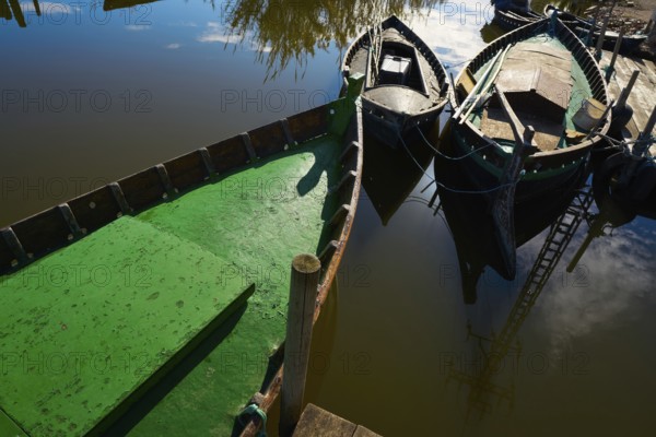 Albufera of Valencia boats in the lake in Spain