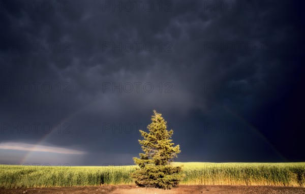 Storm Clouds Canada rural countryside Prairie Scene