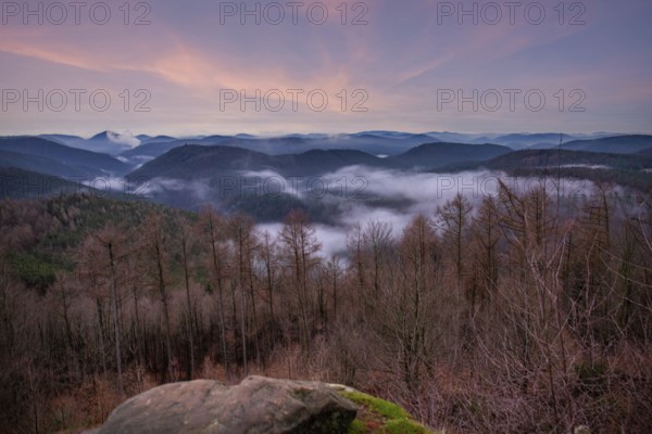 Landscape shot with cloudy sky and fog in the valley. View from a rock in the middle of forest and nature. Viewpoint in the morning in the Palatinate Forest, Germany, Europe