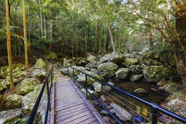 Kondalilla Falls Circuit at Kondalilla Falls in Kondalilla National Park on a warm sunny winter's day near Montville in Queensland, Australia, Oceania