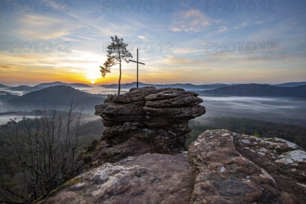 Landscape shot of nature in the morning. Mist in the valley and a summit cross on a sandstone cliff. Sunrise in the Palatinate Forest, Germany, Europe