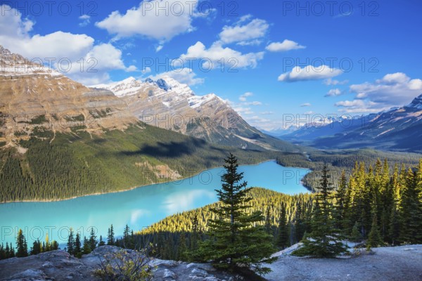 Mountain Lake as a fox head is popular among tourists. Turquoise Lake Peyto in Banff National Park, Canada, North America