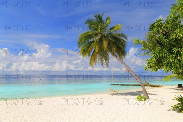 Dreamlike beach with palm trees in the Maldives. Baa Atoll, Asia