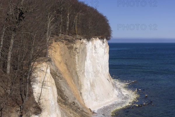 Rügen, Sassnitz, Mecklenburg-Western Pomerania, Jasmund National Park, Chalk Coast, Germany, 19 March 2025 < english> Rügen, Mecklenburg-Western Pomerania, Jasmund National Park, Chalk Coast, March 19, 2025, Europe