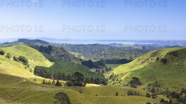 An image of a beautiful landscape near Matamata New Zealand