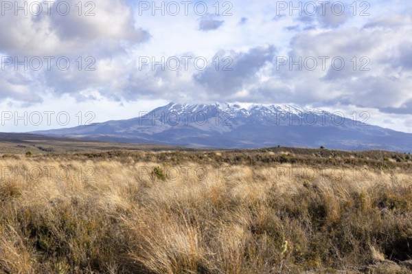An image of a Mount Ruapehu volcano in New Zealand