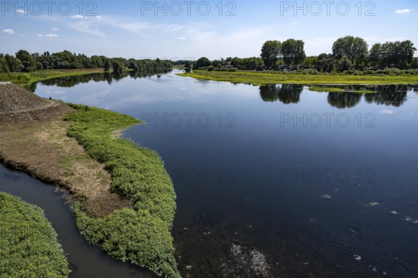 Natural bank of the Loire River near Nevers, Nievre department, Bourgogne-Franche-Comte, France, Europe