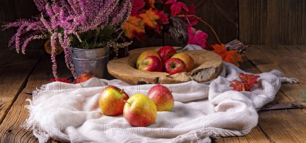Malus sylvestris, der leckere europäische Krabbenapfel
