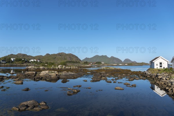 Landscape and townscape with a view over Skotnesosen Bay, Ballstad, Lofoten, Norway, Europe
