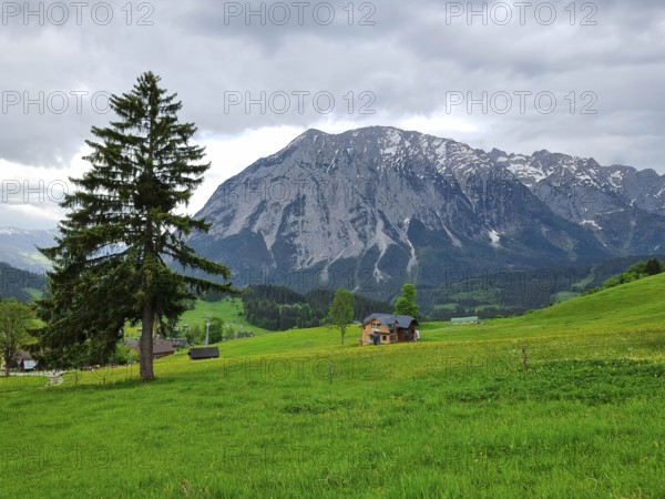 Summer austrian landscape with Grimming mountain (2.351 m), an isolated peak in the Dachstein Mountains, view from small alpine village Tauplitz, Styria, Austria, Europe