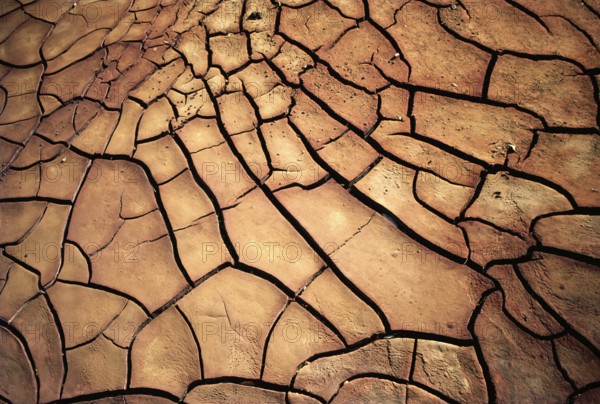 Brown sludge, cracked on earth, drought