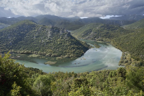 River bend, meander, near the village of Rijeka Crnojevica in the north-west of Lake Skadar, Lake Skutari, River Crnojevic, Montenegro, Europe
