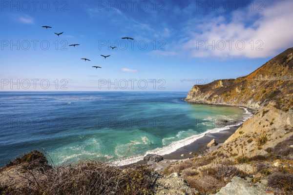 In the sky flies a flock of cranes. The scenic road passes over the ocean bay with emerald water. California State Route 1, USA, North America