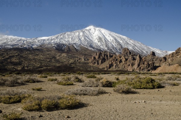 Desert Landscape in Volcan Teide National Park, Tenerife, Canary Island, Spain, Europe