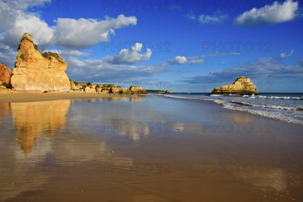 Dreamlike beach
