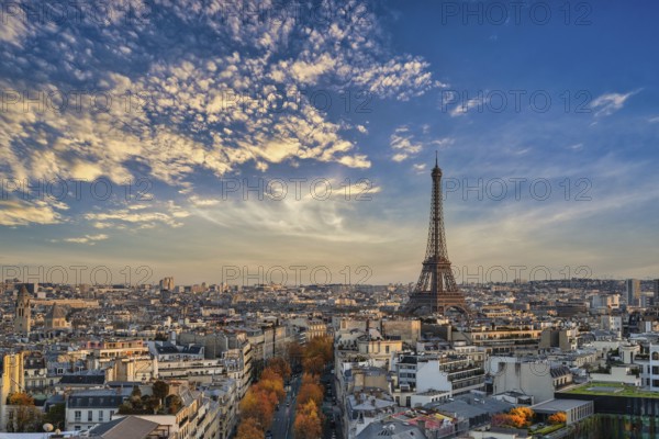 Paris France, high angle view of Eiffel Tower and city skyline with autumn foliage season