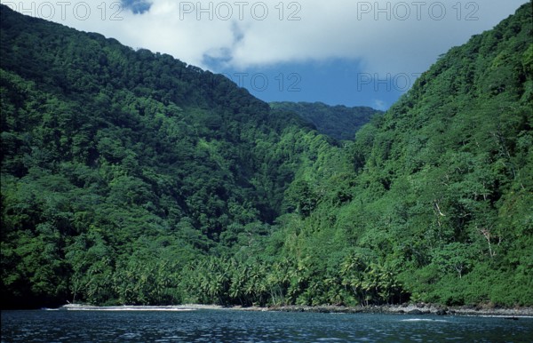 Cocos Island, Costa Rica, South America, Central America