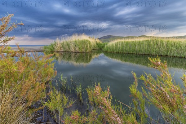 Landscape Greece, thunderstorm, thunderstorm atmosphere, reed, biotope, bird biotope, island Lesbos, Greece, Europe