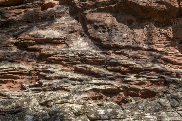 Detail of the Geiersteinfelsen, Geierstein, sandstone, Palatinate Forest, Bruchweiler-Bärenbach, Rhineland-Palatinate, Germany, Europe