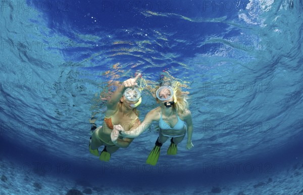 Two woman snorkelling, Komodo National Park, Indian Ocean, Indonesia, Asia
