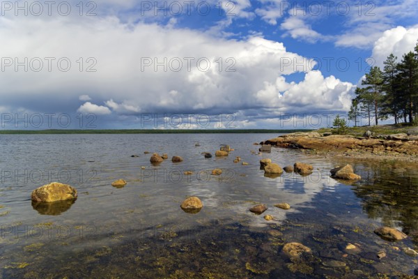 The littoral zone at hight tide. The shore of the White Sea. Kandalaksha Gulf, Karelia, Russia, end of June, Europe