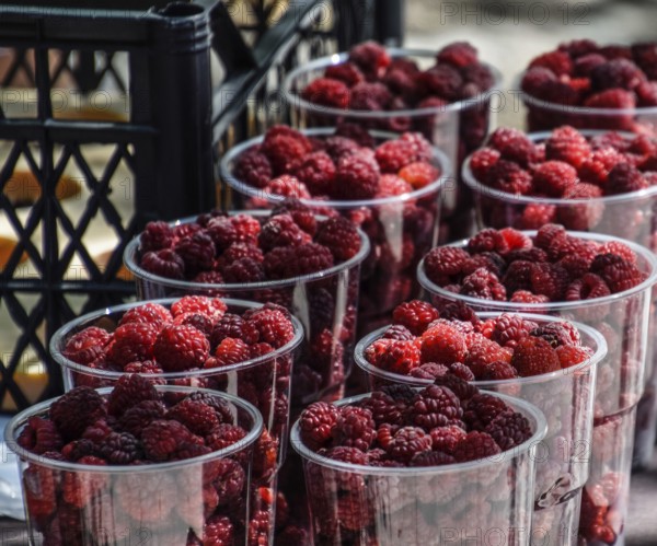 Glasses with raspberries on the counter. Gorny settlement, Krasnodar region, Russia, Europe