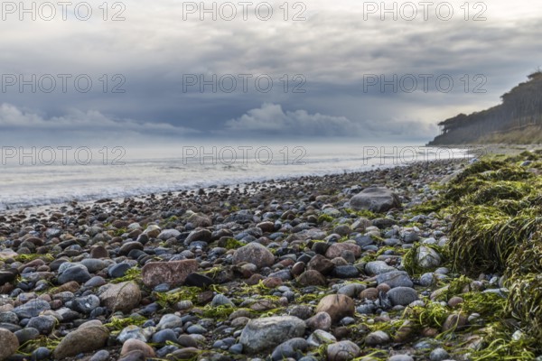 Baltic Sea beach