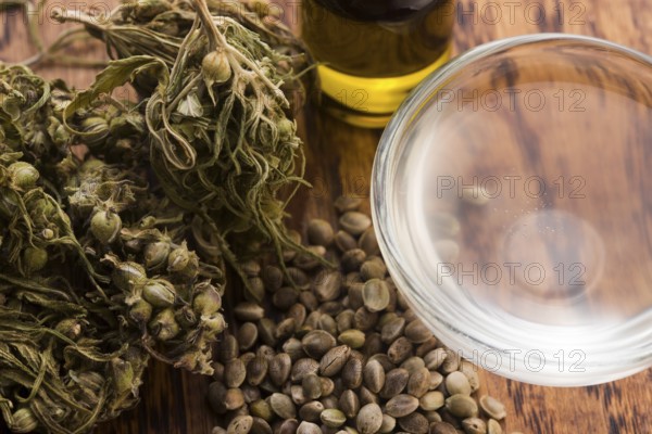 Cannabis extract with leaves