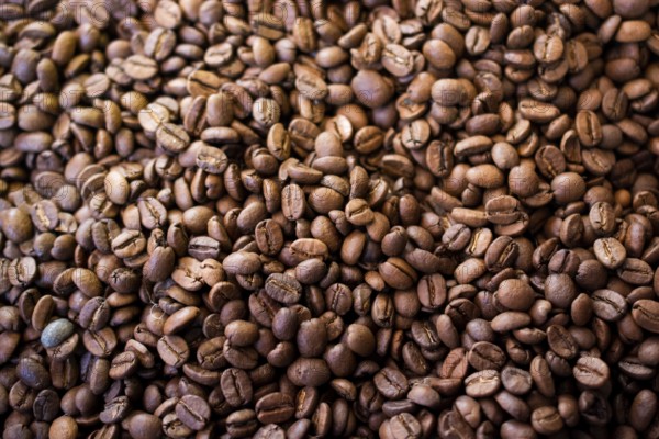 Coffee beans texture or coffee beans background