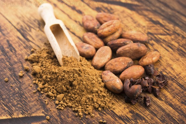 Cacao beans and cacao powder in spoon