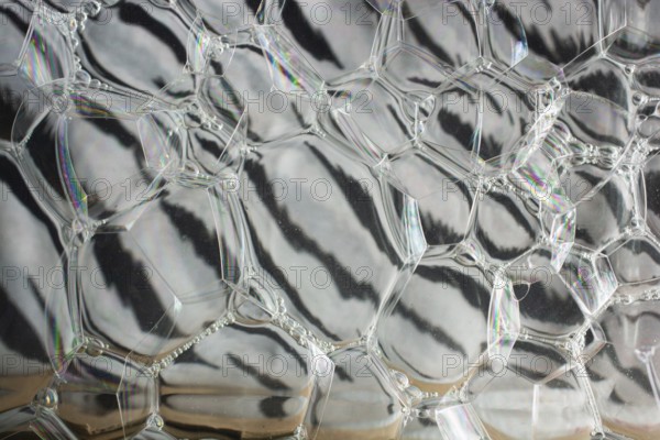 Oil bubbles inside water base form patterns