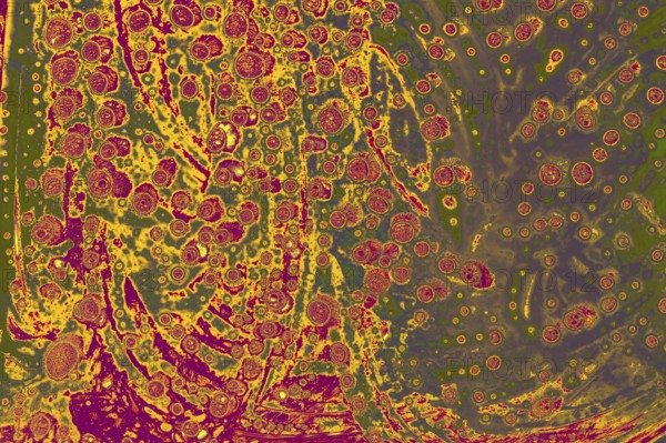 Air bubbles inside water base form patterns