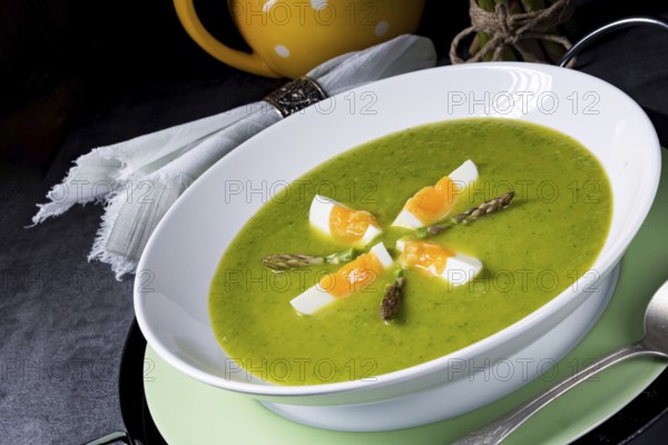 Asparagus cream soup with egg