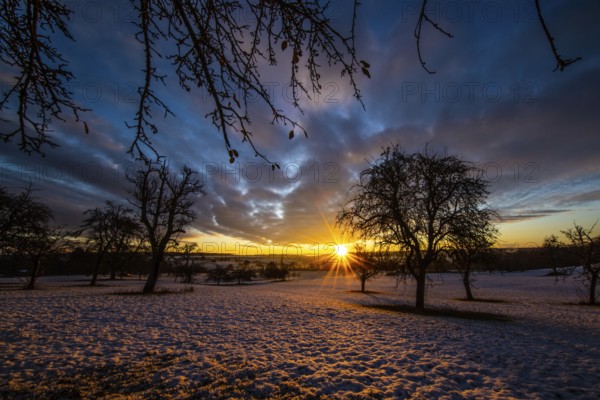 Sunrise, meadow orchard, winter