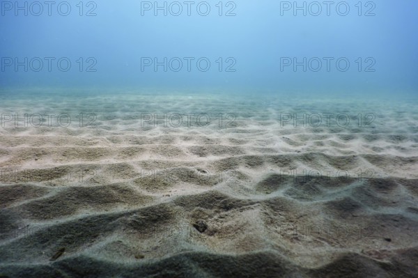 Sandy sea bottom Underwater background