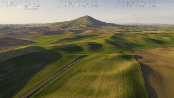 Steptoe Butte State Park is up there somewhere on top of the bluff surrounded by Palouse Country farmland