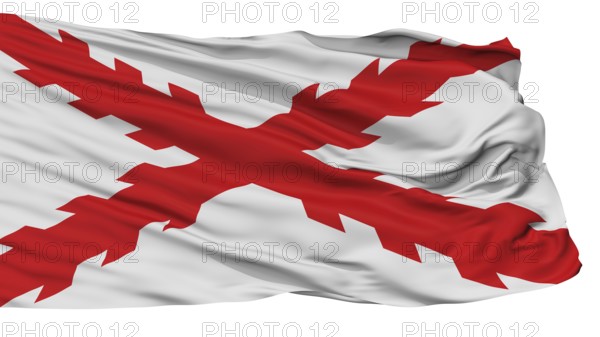 Cross Of Burgundy Flag, Isolated On White Background