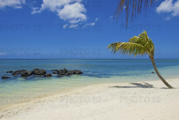 Mauritius beach landscape