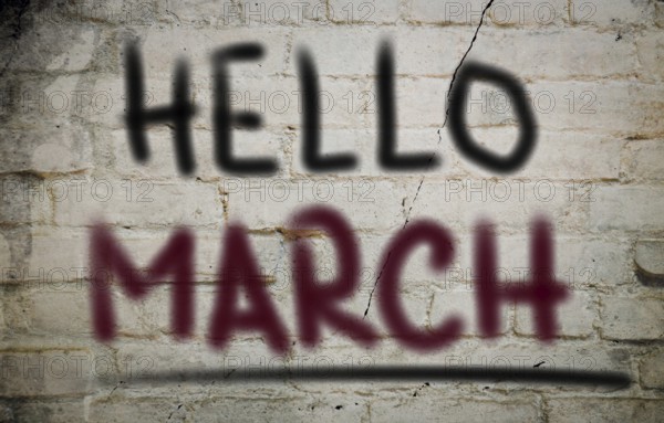Months Of The Year Concept